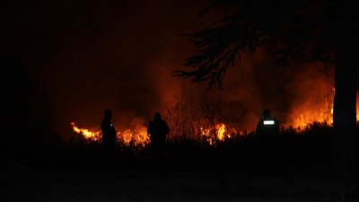 Konya'da Beyşehir Gölü Milli Parkı’ndaki sazlık alan yangını