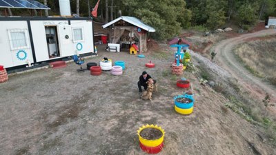 Tokat'ta balıkçının köpeklerle olan arkadaşlığı yürek ısıttı