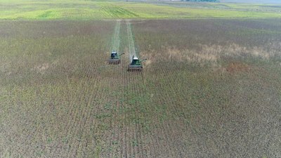 Çanakkale'nin Biga ilçesindeki arazi toplulaştırması