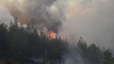 Bursa'da çıkan orman yangını, Balıkesir'e sıçradı