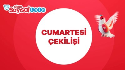 Çılgın Sayısal Loto çekiliş sonuçları belli oldu! 9 Kasım 2024 Sayısal Loto sonuçları...