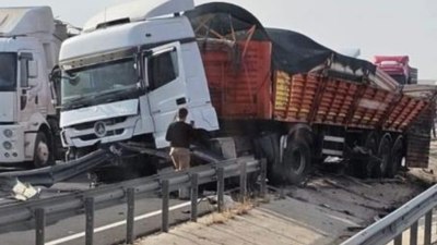 Mardin'de kaza yapan tırdaki hayvanlar yola çıktı