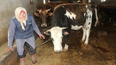 Erzincan'da 79 yaşındaki Dilber ninenin hayat mücadelesi