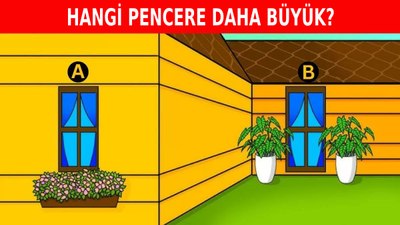 Beyin yakan IQ testi: Hangi pencere daha büyük?