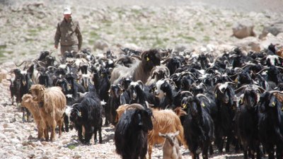 Antalyalı yörükler yayladan dönüşe geçti