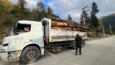 Bolu'da kamyon dolusu kaçak odun yakalandı