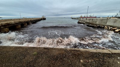 Tekirdağ'da poyraz fırtınası: Kızıl yosunlar karaya vurdu