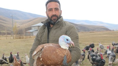 Hakkari'de yılbaşı öncesi hindiler satışa çıktı: Fiyatı 4 bin lirayı buluyor