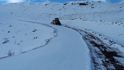 Van'ın yüksek kesimlerine kar yağdı