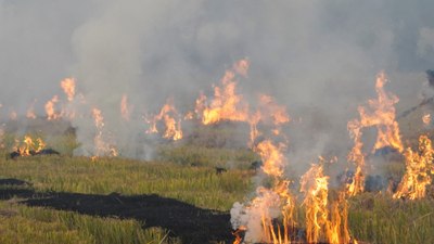 Hindistan'da 10 Maocu isyancı çatışmada öldürüldü