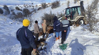 Ankara'da dağda mahsur kalan hayvanlar kurtarıldı