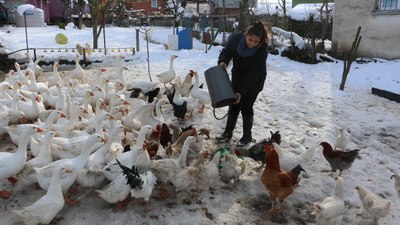 Samsun'da hayalleri için köye yerleşti