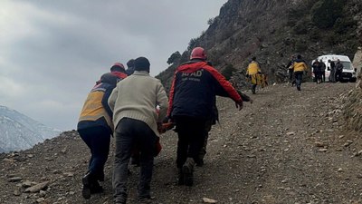 Artvin'de kamyonet şarampole yuvarlandı