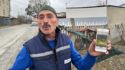 İstanbul'da yılbaşı hindileri, hırsızların hedefi oldu