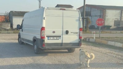 Balıkesir'de köpeği kamyonetin arkasına bağlayıp sürükledi