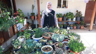 Hatay'da evini çiçeklerle donattı