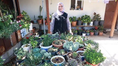 Hatay'da evinin etrafını çiçeklerle donattı: 500 farklı tür çiçek büyüttü