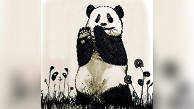 Sadece yüksek IQ’lular bulabilir: 2. Panda nerede?