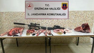 Erzincan'da dağ keçisi avlayan şahsa ceza