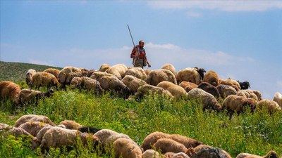 Şırnak'ta Dicle Nehri'ne düşen çoban ölü bulundu