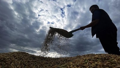 Türkiye tohum ticaret hacmiyle dünyada ilk 10'da