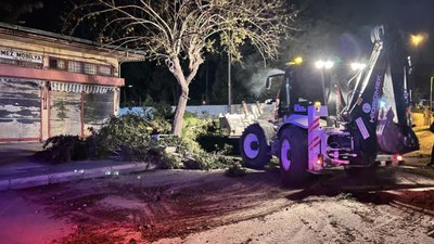 Hatay'da fırtına: Ağaçlar yerinden söküldü, çatılar uçtu