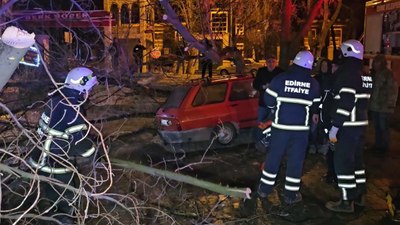 Edirne'de çürüyen ağaç otomobilin üzerine devrildi