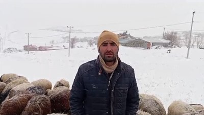 Bitlis'te hayvan yetiştiricilerinin zorlu mesaisi