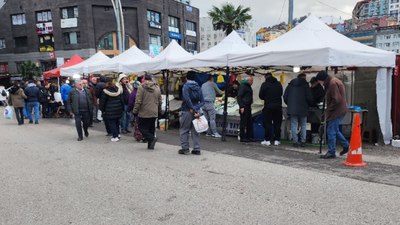 Zonguldak'ta hamsinin yerini istavrit aldı