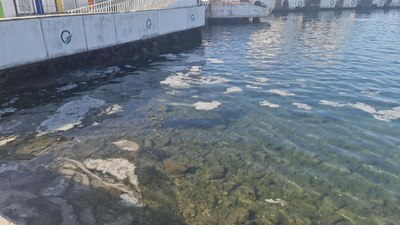 Çanakkale'de görülen müsilaj balıkçıları zor durumda bıraktı