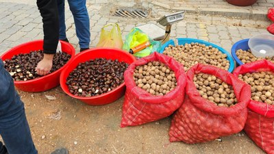 Balıkesir'de kestanelere saç spreyi sıkıp piyasaya sürdü