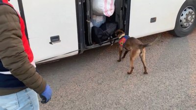 Şanlıurfa'da yolcu otobüsünde 14 kilo esrar ele geçirildi: 2 gözaltı