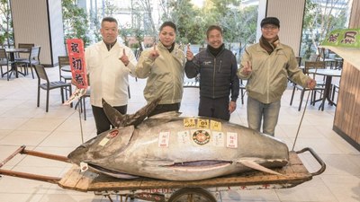 Japonya'da 276 kiloluk mavi yüzgeçli orkinos 1,3 milyon dolara satıldı