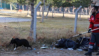 Kayseri'de köpeği severken saldırıya uğradı