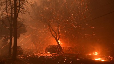 ABD'de yangın analizi: Tarihin en maliyetli yangınlarından olabilir