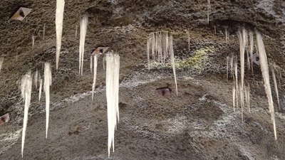 Artvin'in Yusufeli ilçesindeki tünelden geçmek yürek istiyor