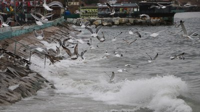 Tekirdağ'da şiddetli poyraz