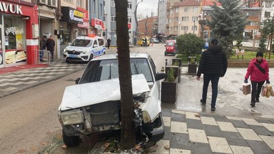 Bolu'da yola çıkan köpeğe çarpmamak için ani manevra yapan sürücü kaza yaptı