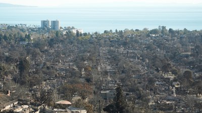 ABD'de yangından etkilenen küçük işletmelere destek