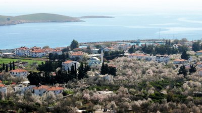 Muğla'da badem ağaçları çiçek açtı