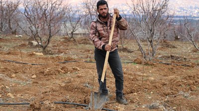 Suriye'de yeniden tarıma başlandı