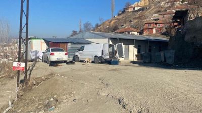 Ankara'da başıboş köpek sürüsünün saldırdığı kadın canını zor kurtardı