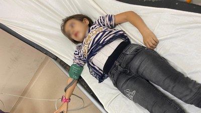 Bursa'da okul bahçesinde bakılan başıboş köpekler 9 yaşındaki öğrenciye saldırdı