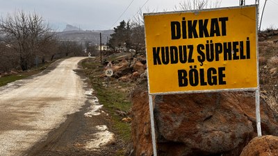 Şanlıurfa'da kuduz alarmı: Mahallelerde karantina başlatıldı