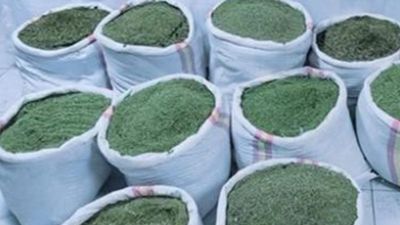 Cezaevinden izinli çıkan hükümlü takibe alındı: 391 kilo esrar ele geçirildi