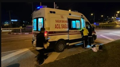 Bilecik'te yola fırlayan köpek kazaya sebep oldu