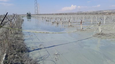 Manisa Alaşehir’de üzüm bağı içindeki patlama korkuttu