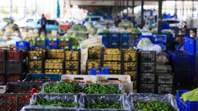 Antalya'da seraları soğuk vurunca ürünlerin fiyatı zamlandı