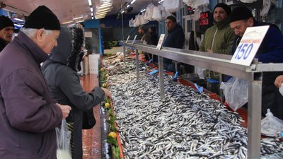 Bolu'da hamsinin fiyatı 150 liraya kadar düştü