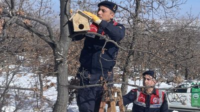 Aksaray'da jandarma yaban kuşlarına yuva yapıp ağaçlara astı